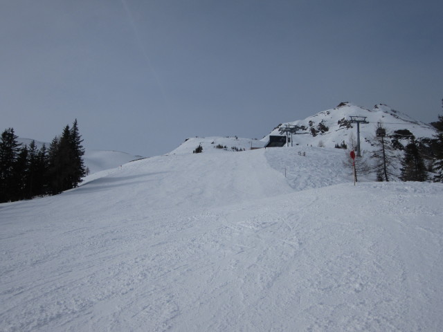 Piste Waldalm - Kreuzboden