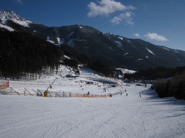 Skischul-Abfahrt