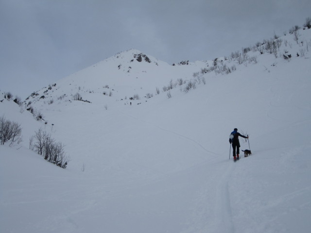Marek zwischen Angerkaralm und Gamsfeld