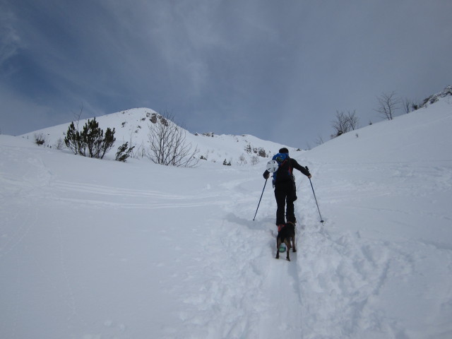Marek zwischen Angerkaralm und Gamsfeld