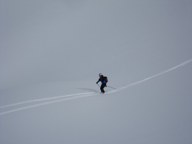 zwischen Angerkaralm und Gamsfeld