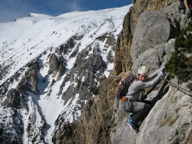 Haid-Klettersteig: Christoph zwischen erstem und zweitem Steigbaum