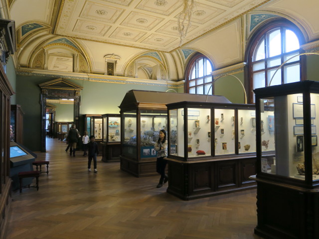 Sammlung Niedere Tiere