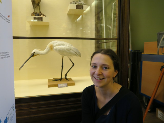 Sabine in der Sammlung Vögel
