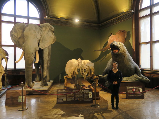 Sabine in der Sammlung Elefanten, Flusspferde, Giraffen, Wale