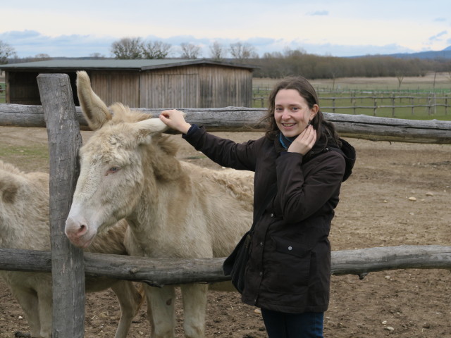 Esel und Sabine im Gutshof