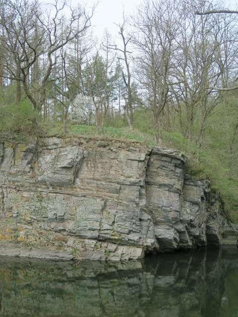 Thaya zwischen Hardegg und Znaim