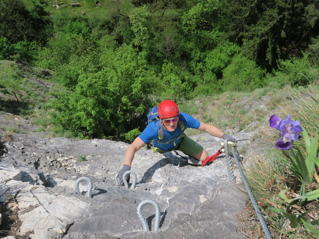 Michael zwischen Schlangengraben und Wendepunkt
