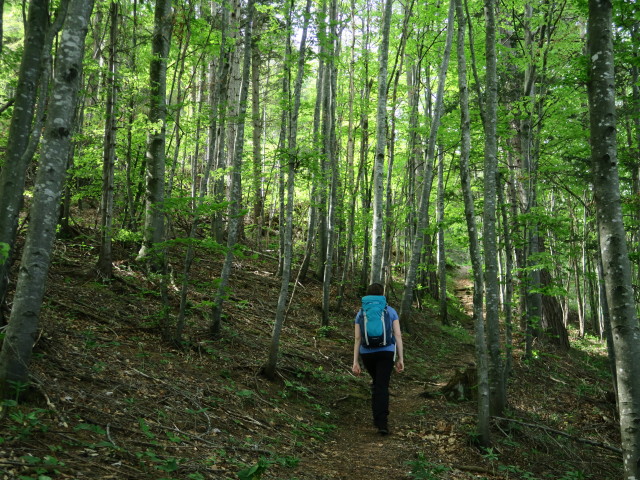 Sabine am Weg 84 zwischen Pöller und Rapoldeck