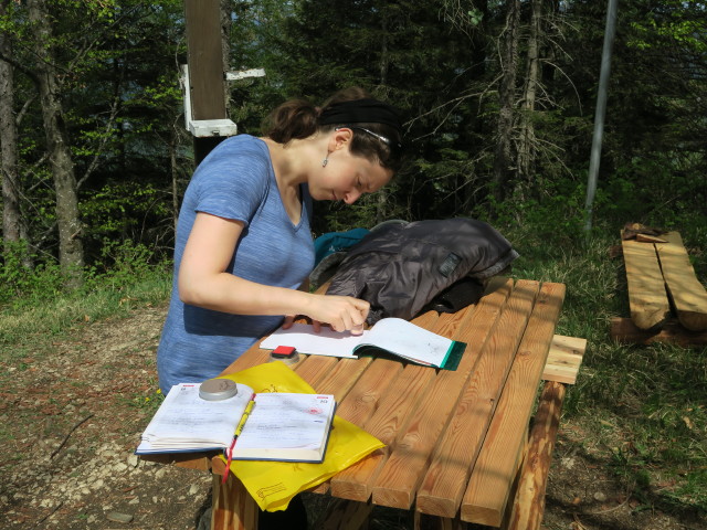 Sabine am Rapoldeck, 1.195 m