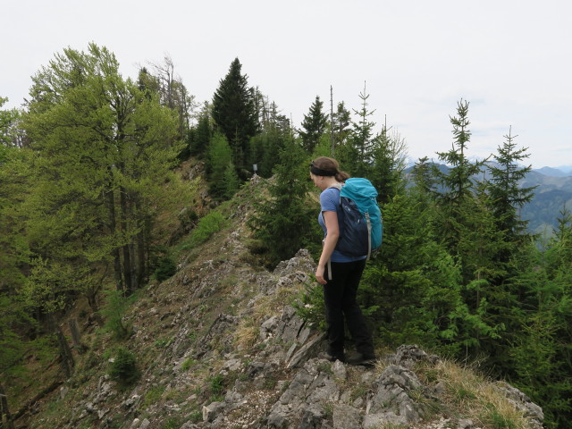 Sabine am Weg 84 zwischen Rapoldeck und Schrabachauer Kogel