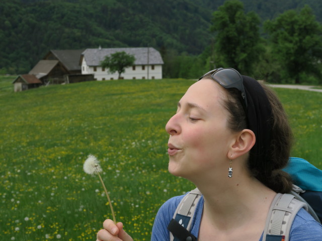 Sabine neben Weg 84 zwischen Pöller und Staudeck