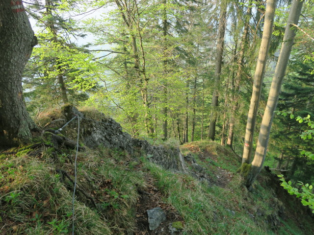 Weg 492A zwischen Blaulucke und Gamssteinköpfl (5. Mai)