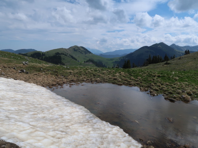 neben Weg 401 zwischen Spielkogel und Waxenegghütte