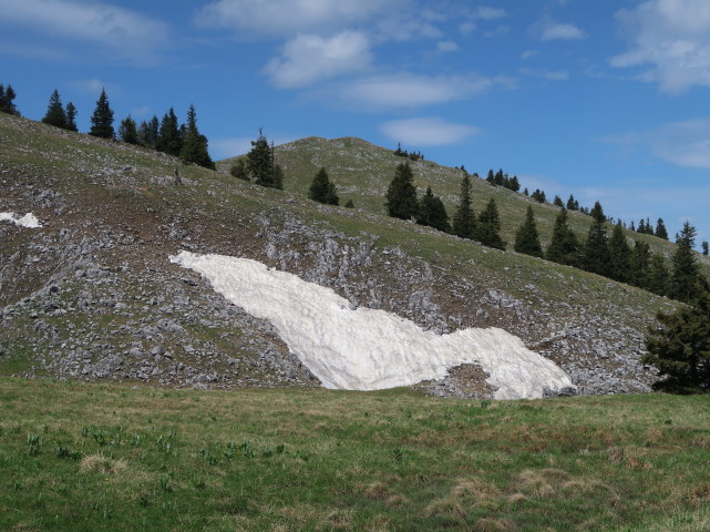 neben Weg 401 zwischen Spielkogel und Waxenegghütte