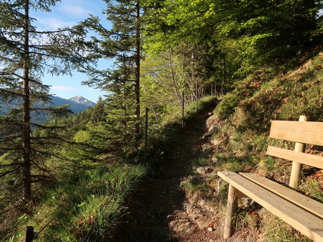 zwischen Gaisbergstüberl und Bärstättalm (12. Mai)