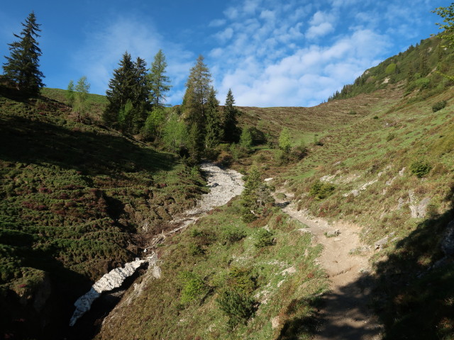 zwischen Gaisbergstüberl und Bärstättalm (12. Mai)