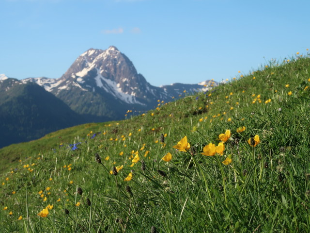 Großer Rettenstein von der Bärstättalm aus (12. Mai)