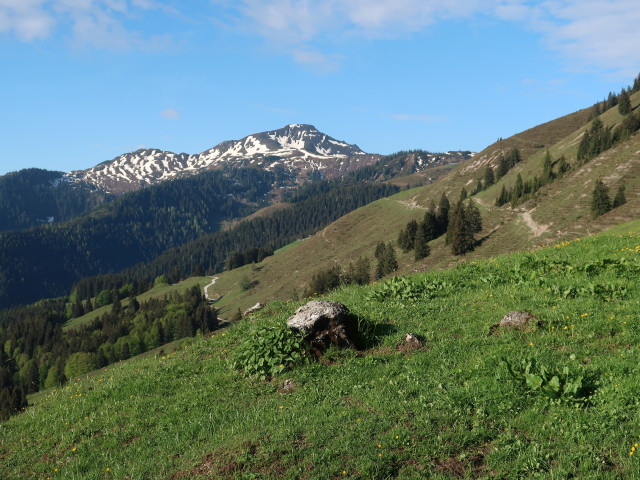 Brechhorn von der Bärstättalm aus (12. Mai)