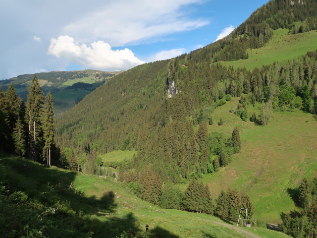 zwischen Wirts Mitterleger und Wirts Grundalm (12. Mai)