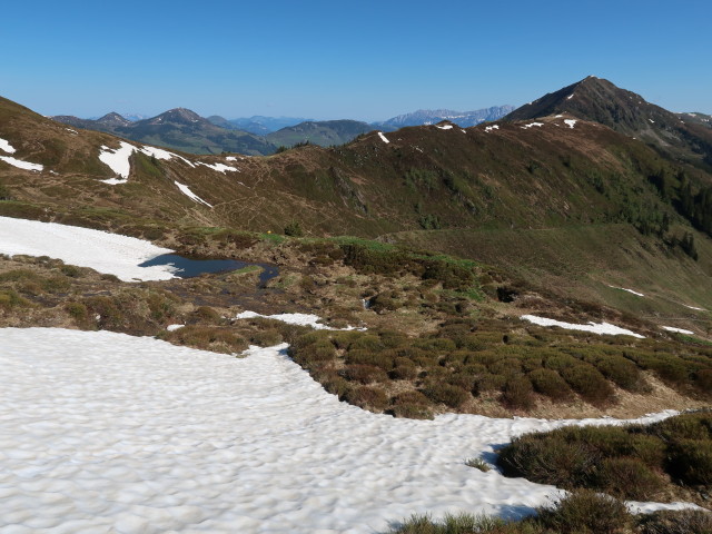Weg 11 zwischen Schwarzkogel und Blauer Lacke (13. Mai)