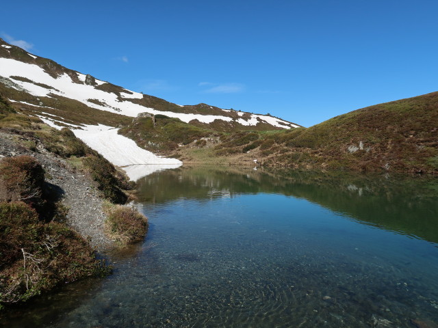 Blaue Lacke (13. Mai)