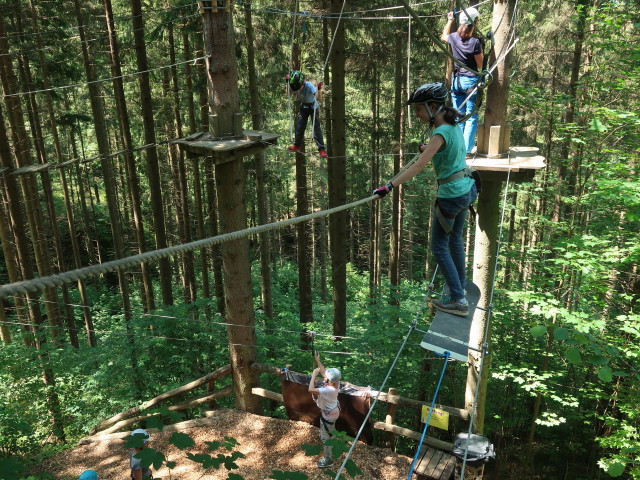 Kletterwald Buchenberg: Tim, Sonja und Anja Liv im Parcours 'Buchfink'