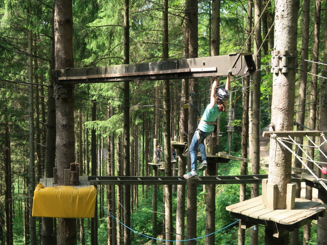 Kletterwald Buchenberg: Anja Liv im Parcours 'Baummarder'