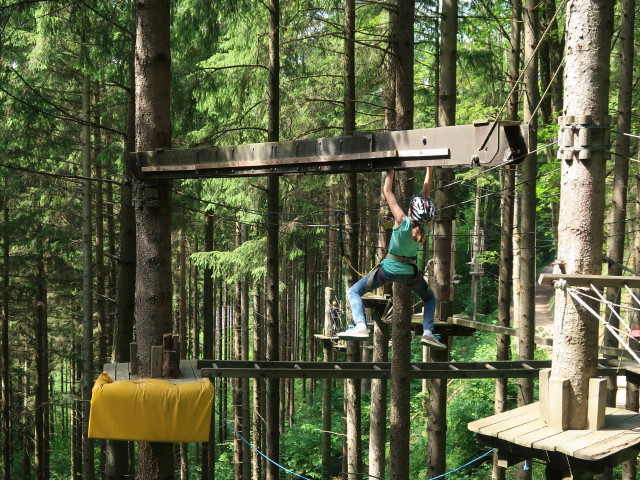 Kletterwald Buchenberg: Anja Liv im Parcours 'Baummarder'