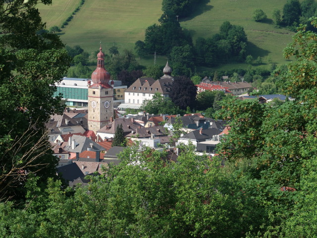 Waidhofen vom Tierpark Buchenberg aus