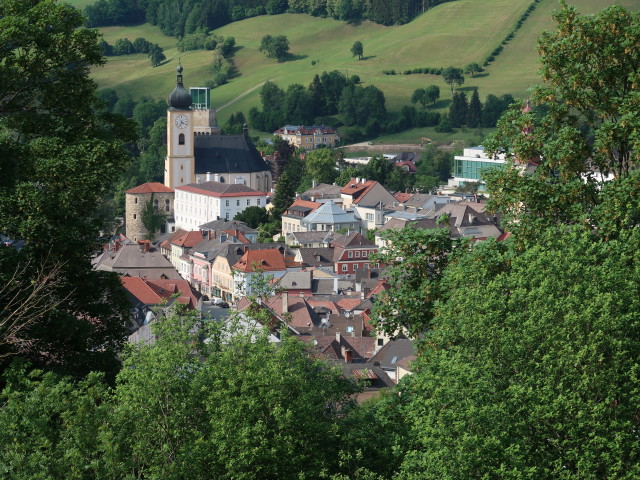 Waidhofen vom Tierpark Buchenberg aus