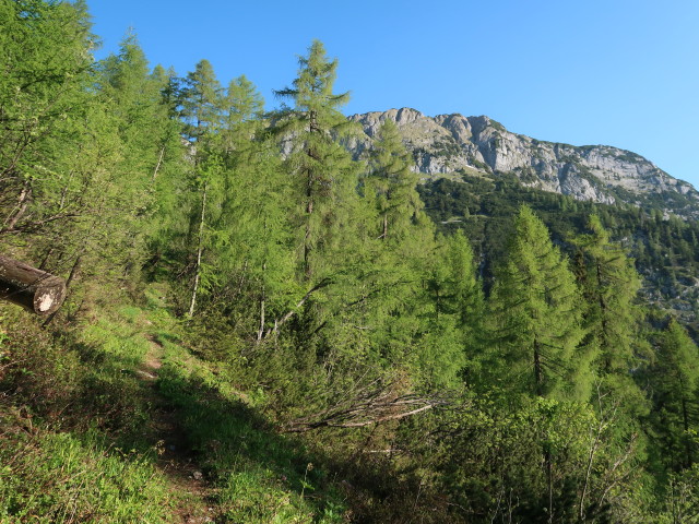 Weg 450 zwischen Brunnalm und Hochtor
