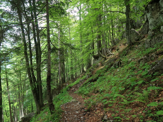 Kettensteig zwischen Angeralm und Kratzalm