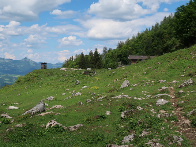 Kratzalm, 1.234 m