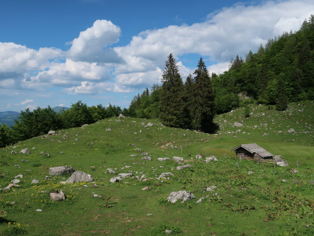 Kratzalm, 1.234 m