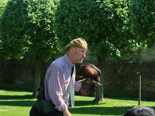Dunrobin Castle: Falconry (28. Mai)