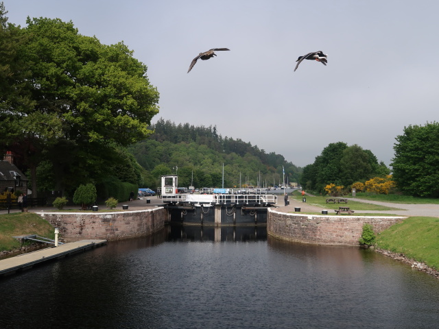 Caledonian Canal (29. Mai)
