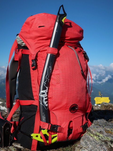 Rosenjoch, 2.796 m (10. Juni)