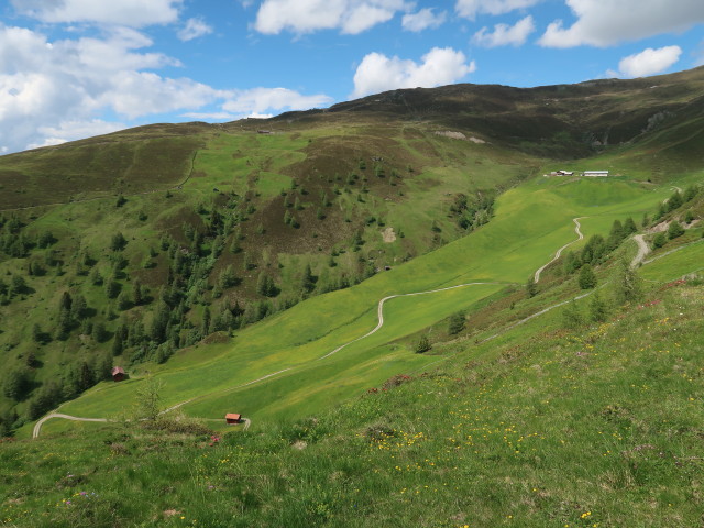 Pfoner Tal (10. Juni)