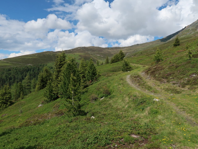 Weg 19 zwischen Misljoch und Isslboden (10. Juni)