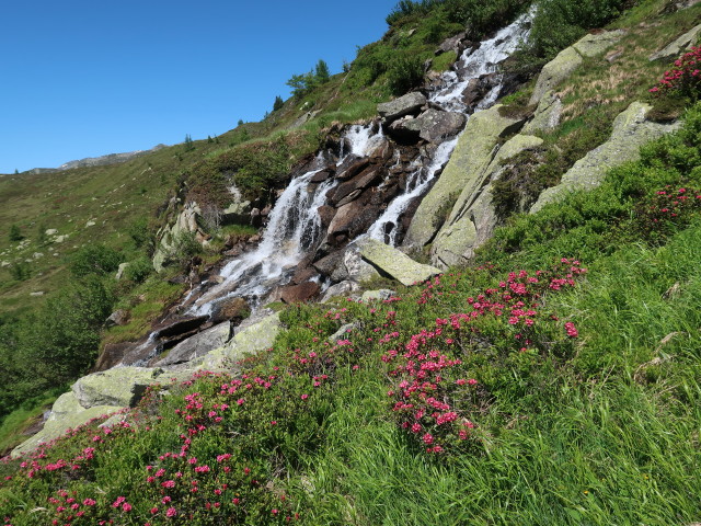 Schientalbach (16. Juni)