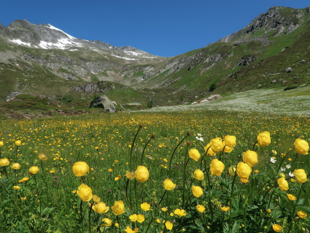 Notdurfterwiese (16. Juni)