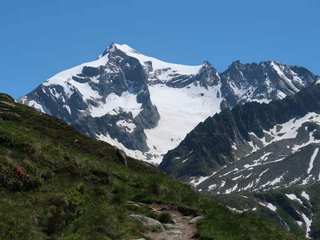 Dreiherrnspitze (16. Juni)