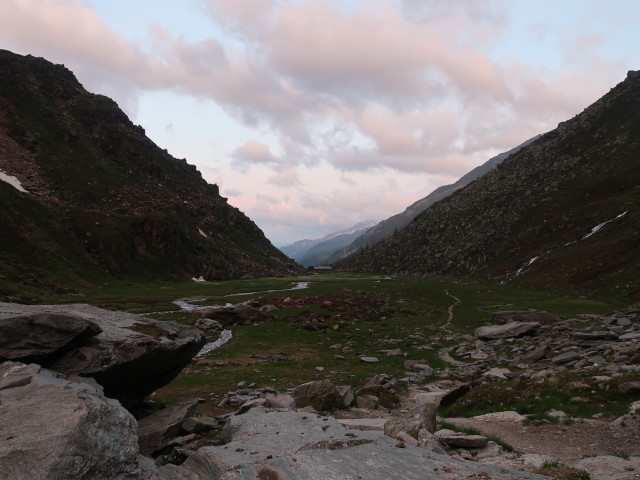 Weg 13 im Lahnacher Moos (17. Juni)