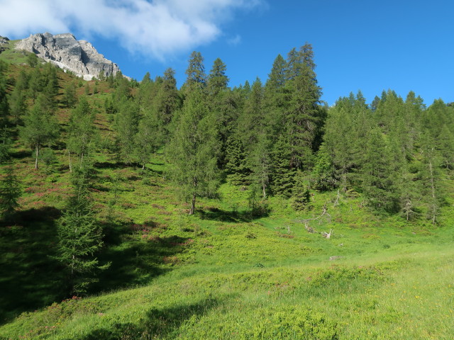 neben Weg 34A zwischen Schleyergraben und Edelweißhütte