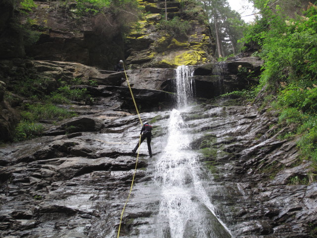 Sonja im Polinikfall