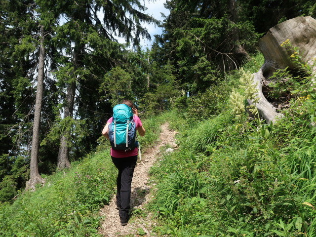 Sabine zwischen Kienthaler Hütte und Fleischer-Gedenkstein