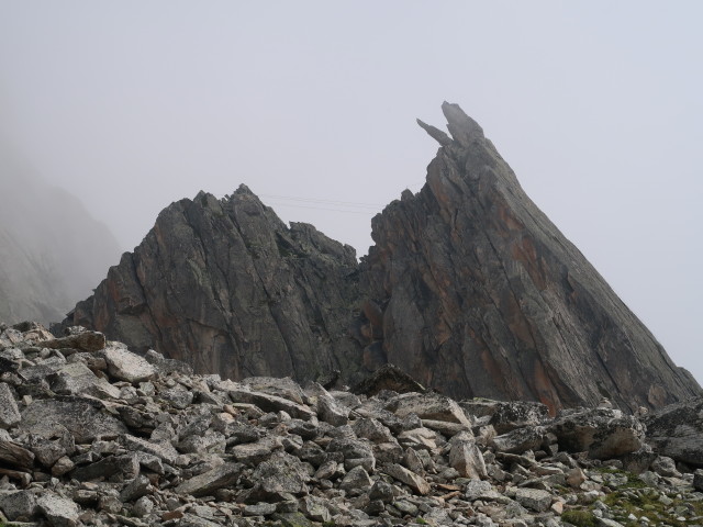 Krokodil-Klettersteig: Seilbrücke und Krokodil (28. Juli)