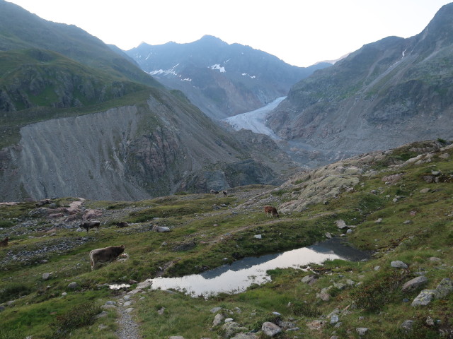Weg 32 zwischen Gepatschbach und Vorderer Nörderberg (5. Aug.)