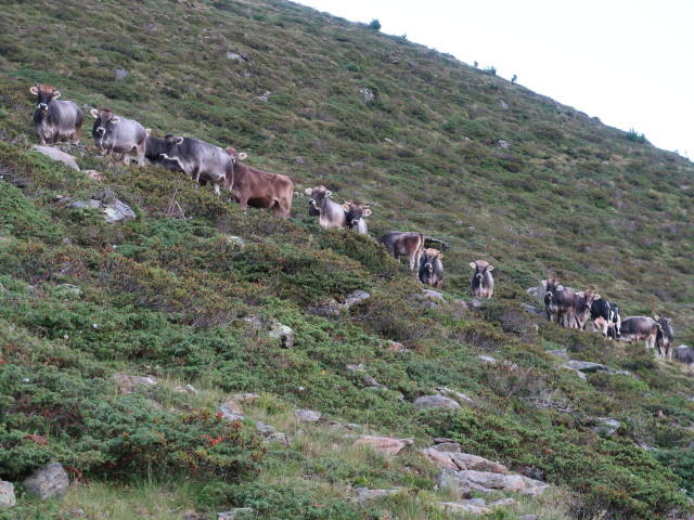 Vorderer Nörderberg (5. Aug.)